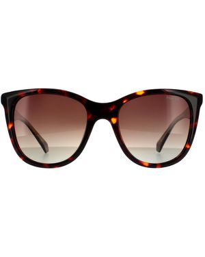 Polaroid Square Havana Gradient Polarized - Brown