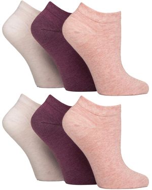 IOMI 6 Pack Diabetic Trainer Socks - Purple