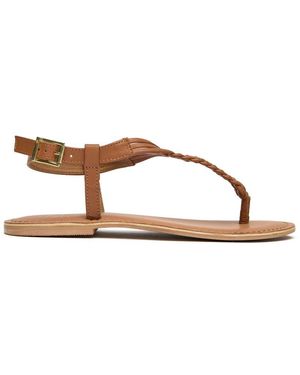 Sole Dulce Thong Sandals - Brown