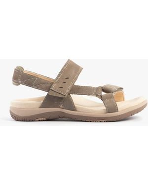 Free Spirit Elara Sandals Walnut - Brown