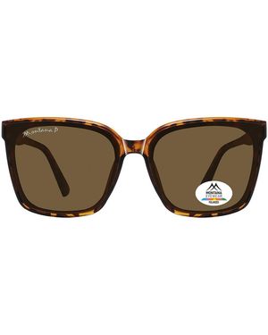 Montana Square Tortoise Polarized Mp67 - Brown