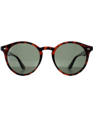 Montana Round Turtle G15 Polarized Mp20 - Brown