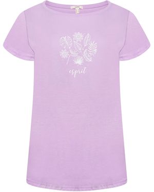 Esprit Ladies T-Shirt Cotton - Purple