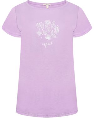 Esprit Ladies T-Shirt Cotton - Purple