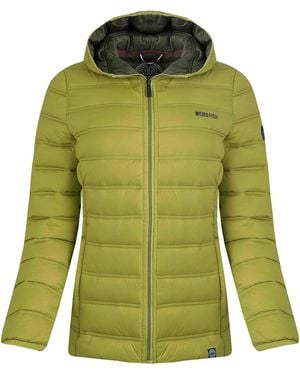 Weird Fish Ladies Eshka Lightweight Padded Jacket (Tarragon) - Green