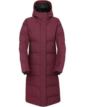 Dare 2b Ladies Wander Padded Jacket (Fig) - Red