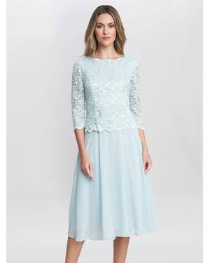 knee length dresses for ladies Leona Sequin Lace Dress – Gina Bacconi main image 0