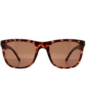 Police Rectangle Matte Dark Havana Spl357 Blackbird Light 2 - Brown