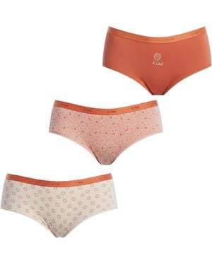 DIM Pack-3 Lot New York Culottes With Inner Lining D4C20 - Pink