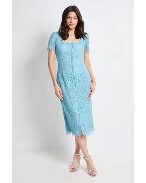 Wallis Lace Button Midi Dress - Blue
