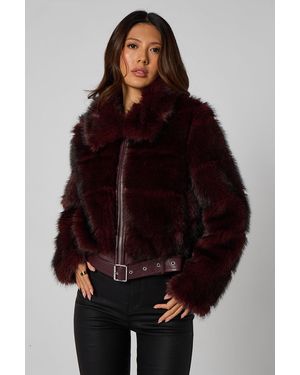 Urban Bliss Cut Fur Belted Bomber Jacket - Brown