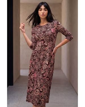 Roman Petite Floral Midi Dress - Brown