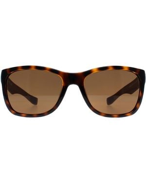Lacoste Square Havana Polarized L662Sp - Brown