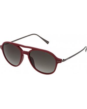 Sting Sst006532Ghm 53 Sunglasses - Brown