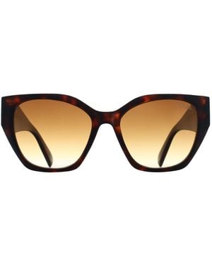 Atum Cat Eye Shiny Tortoise Gradient Zenith - Brown