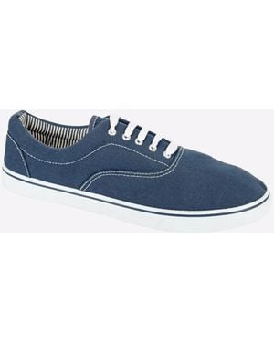 Dek Cayson Plimsols - Blue