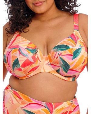 Elomi Sancho Beach Plunge Bikini Top - Orange