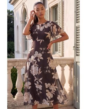 Roman Petite Floral Print Chiffon Dress - Brown