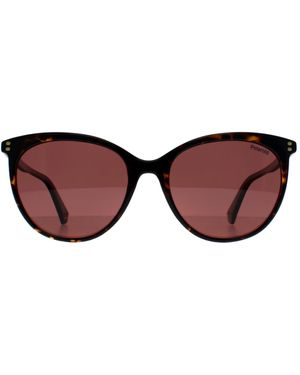 Polaroid Cat Eye Havana Polarized Pld 6231/S - Brown