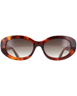 Ted Baker Tb1758 Daisie 100 Gloss Klassieke Tortoise Gradiënt Zonnebril - Bruin