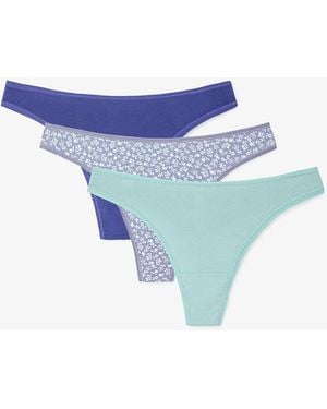 Penti 3-Pack Low-Waist Cotton Thong - Blue