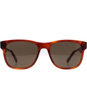 Banana Republic Rectangle Havana Honey Br 4008/S - Brown