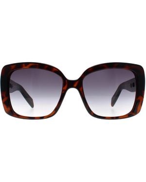 Karen Millen Butterfly Dark Havana Km5056 - Brown