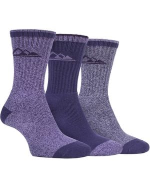 Storm Bloc 3 Pairs Ladies Lightweight Breathable Hiking Socks With Arch Support - Purple