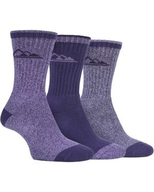 Storm Bloc 3 Pairs Ladies Lightweight Breathable Hiking Socks With Arch Support - Purple