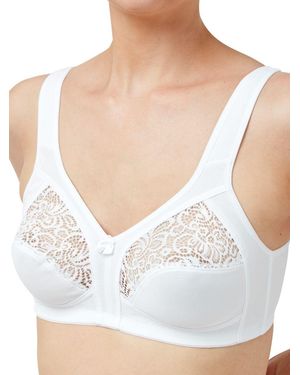 Marlon Lace Soft Cup Bra - White