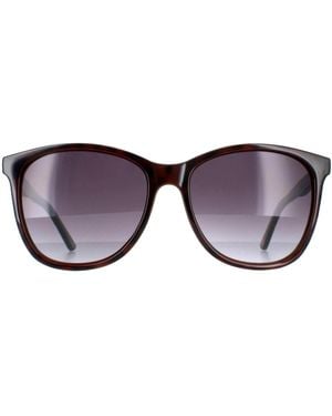 Ted Baker Oval Tortoiseshell Gradient Tb1496 Alva - Brown