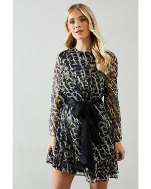 Wallis Petite Animal Contrast Belt Shift Dress - Black