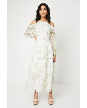 Oasis Petite Rose Floral Organza Cold Shoulder Midi Dress - Natural