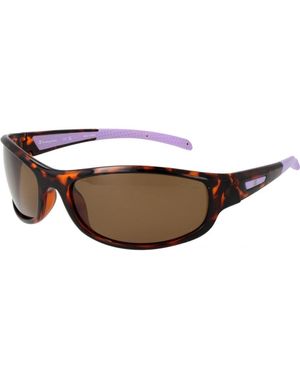 Champion Sunglasses Cuw5207 C02 64 - Brown