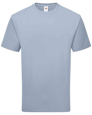 Fruit Of The Loom Adult Cotton T-Shirt (Mineral) - Blue