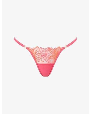 Bluebella Lilly Embroidered Lace Thong - Pink