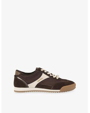 Carvela Kurt Geiger Costa Suede And Mesh Sneakers - Brown