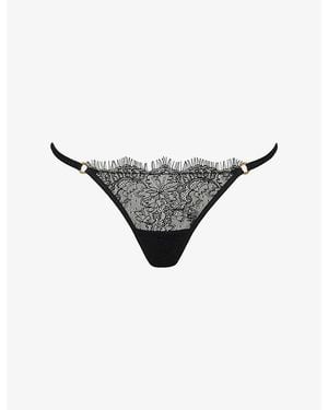 Bluebella Camelia Lace Briefs - Grey