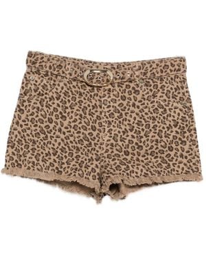 Twinset Animal-Print Belted Shorts - Brown