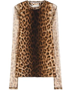 Sportmax Spxzebu Sheer Animal Printed Long-Sleeved Top - Brown