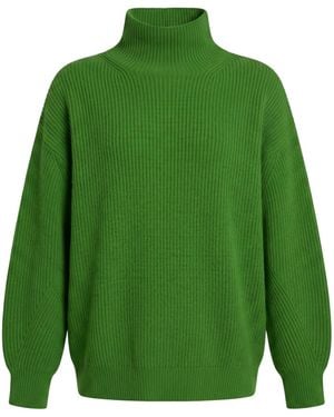 Sportmax Thickened Turtleneck Knit Sweater - Green