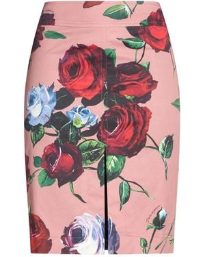 Dolce & Gabbana Midi Skirts - Pink