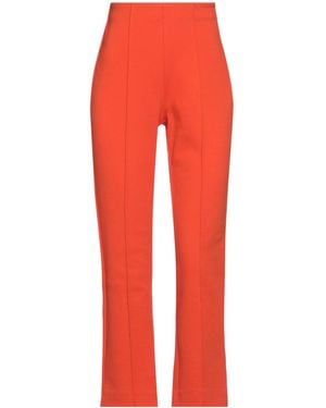 Sportmax Plain Color Flared Trouser
