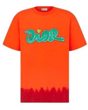 Dior And Kaws T-Shirt, Relaxed Fit - Orange