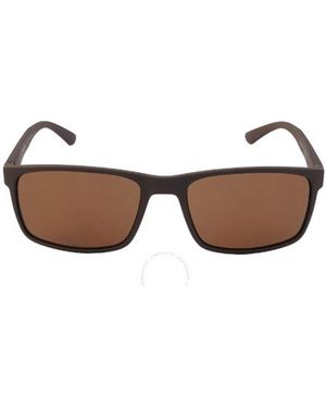 Calvin Klein Logo Sunglasses - Multicolour