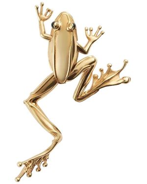 Bottega Veneta Rana Small Brooch - White