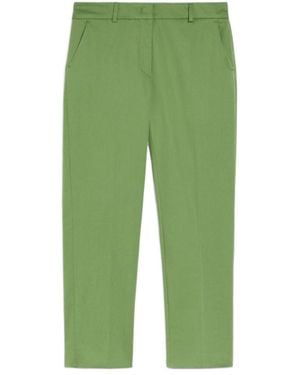 Weekend by Maxmara Straight Leg Cropped Pants - Green