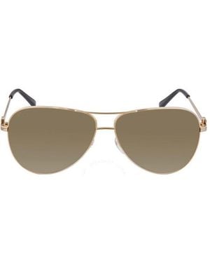 Ferragamo Logo Sunglasses - Metallic