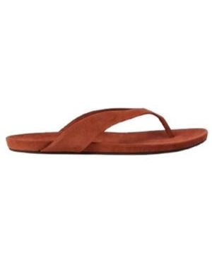 Loro Piana Ida Flip-Flops - Brown