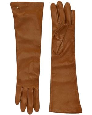 Max Mara Afidee Gloves - Brown